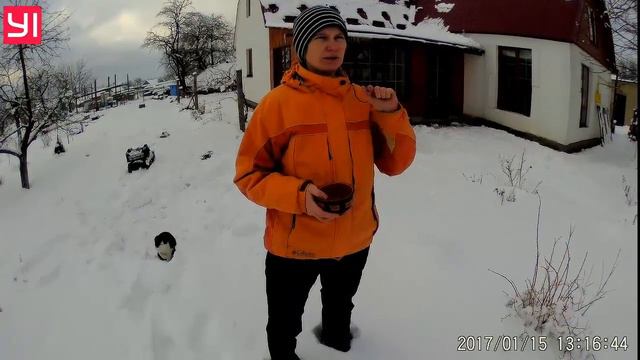 lavender sits in winter. лаванда садиться зимою. смотреть онлайн