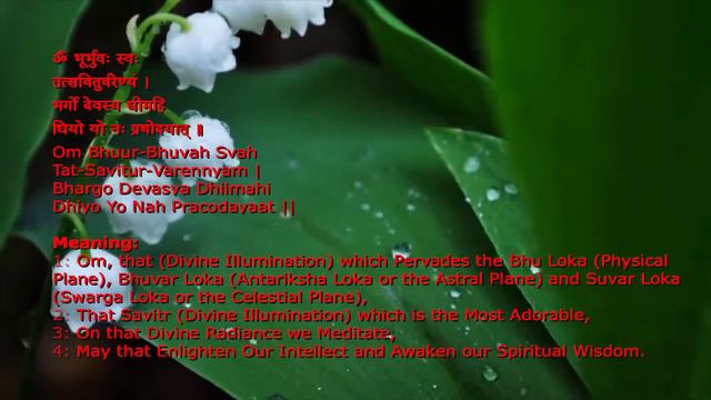 Gayatri Mantra 108 TIME WITH Meaning -Pandit Shiv Kumar Bhardhwaj смотреть онлайн