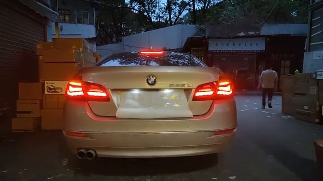 BMW 5 Series F10 F18 2011 - 2017 ( Dragon Scale ) Dynamic Tail Lamp With Signal Running