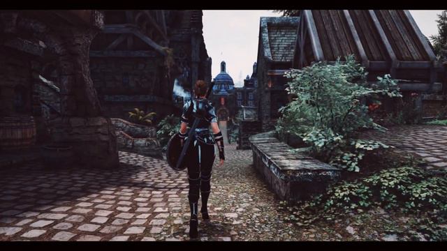 [Skyrim SE/LE] Vanargand Animations - Female Idle, Walk and Run смотреть онлайн