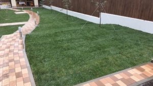 Правильный полив газона