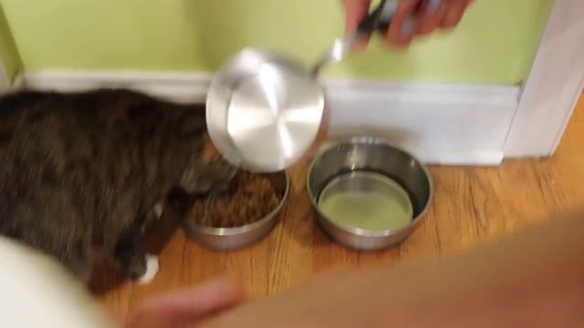 WHAT I EAT IN A DAY PART I смотреть онлайн