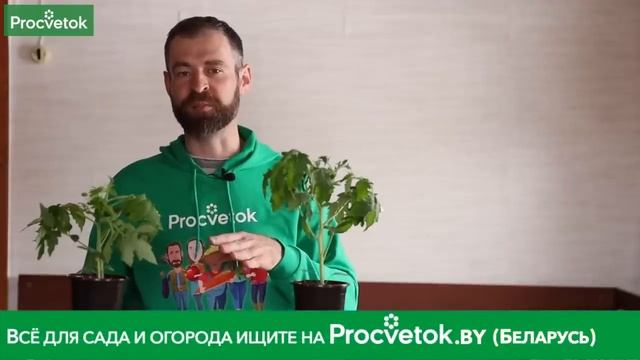 Карбамид + сульфат аммония