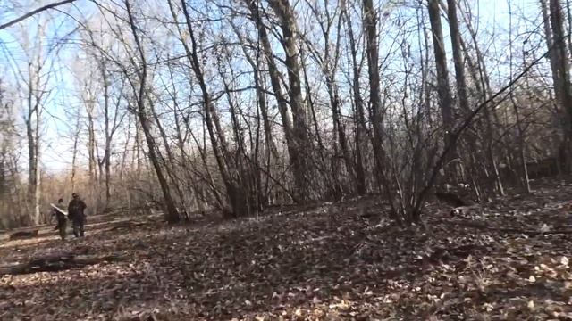 Домашние животные одичали на острове! смотреть онлайн