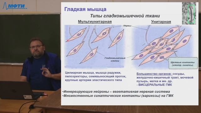 Основы анатомии и физиологии, Гайдуков А. Е. 14.10.2021г. смотреть онлайн