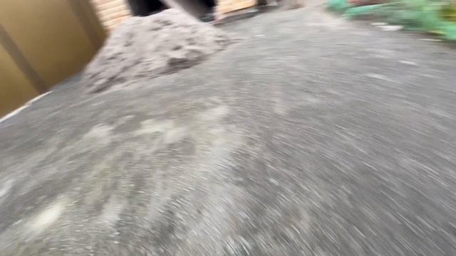 Мудрый Дуб 3,часть 1