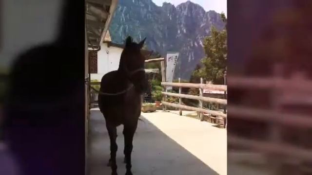 Отдых на даче. Фотоотчет. День первый смотреть онлайн