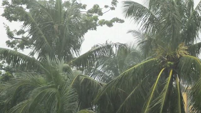 Шторм на островах для сна 1 минута / Storm / Sounds 4 Sleeping смотреть онлайн