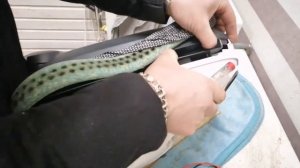 Bork v705 Ремонт и разбор пылисоса. Не включается.