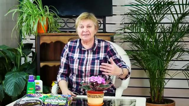 Фиалки: секреты выращивания ? Почему не цветут фиалки? ? Полезные советы цветоводам смотреть онлайн