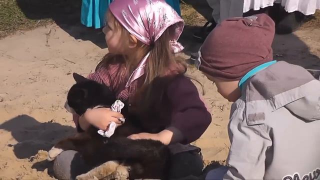 Девочка нашла кота. Папа "попал"... смотреть онлайн