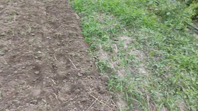 Подготовка участка под посадку клубники. смотреть онлайн