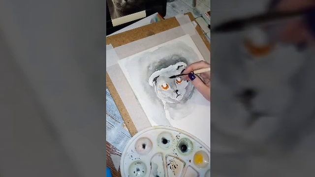 2 часть кот-британец акварелью по фото (усы рисуем в конце белой гуашью тонкой кистью синтетика 1) смотреть онлайн