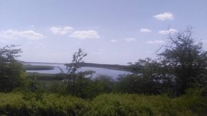 Природа Лиман