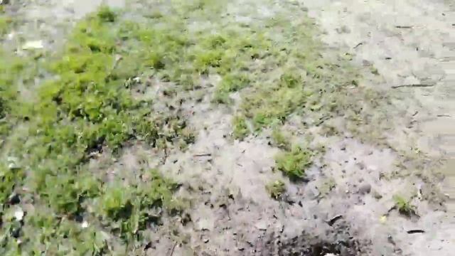 Вторая серия рыбалки на Теплом канале. смотреть онлайн