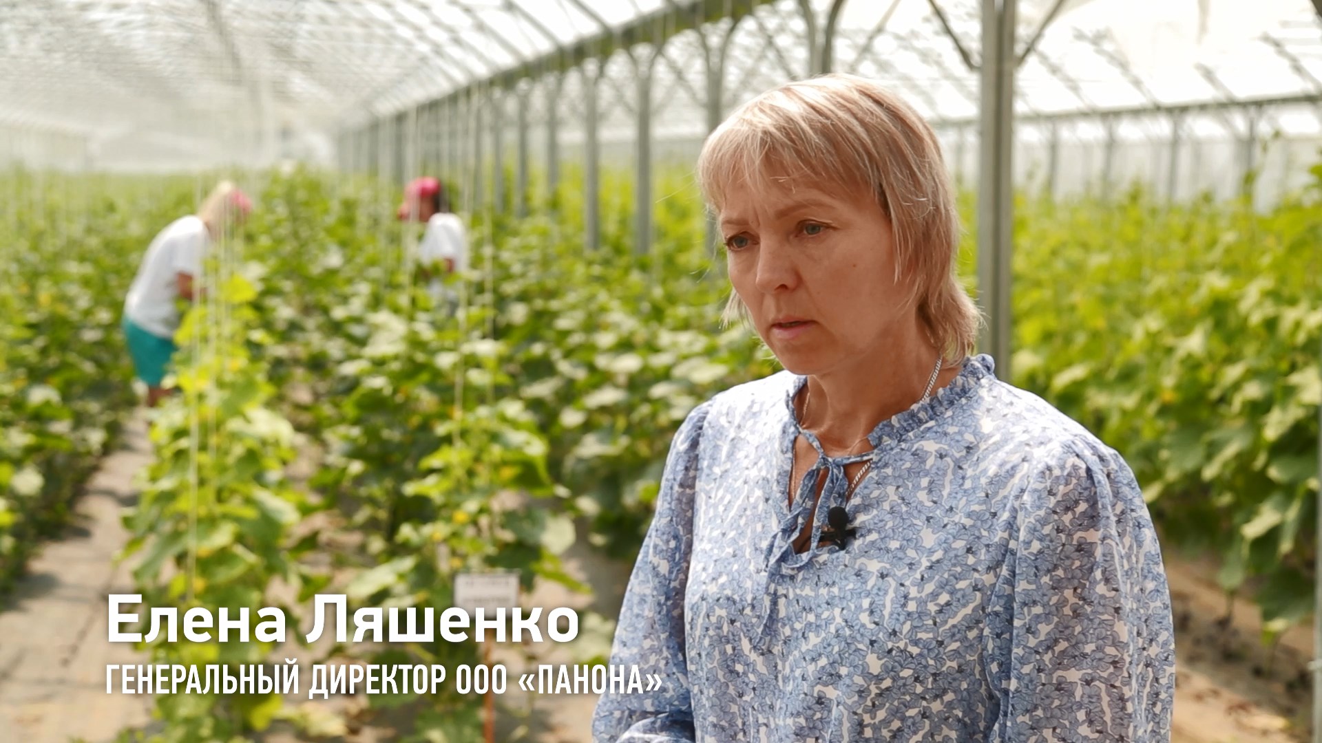 ООО Панона смотреть онлайн
