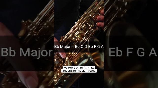 Bb Major Sax Fingerings #saxfingerings #altosax #saxophone #saxlessons смотреть онлайн