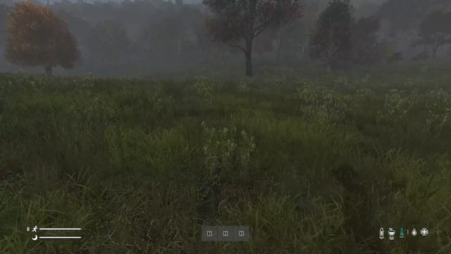 DayZ 1.12 Сервер Resident Evil: Сезон №7 , серия №9 - Традиция! [2К] смотреть онлайн