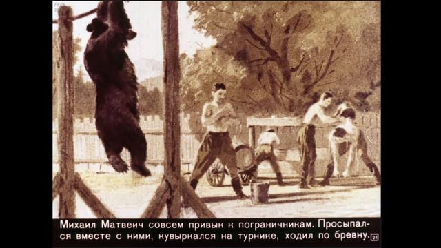 Михаил Матвеич - История про доброго мишку на границе СССР с печальным концом.. 1972г смотреть онлайн
