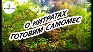 Нитраты в аквариуме. Готовим самомес.