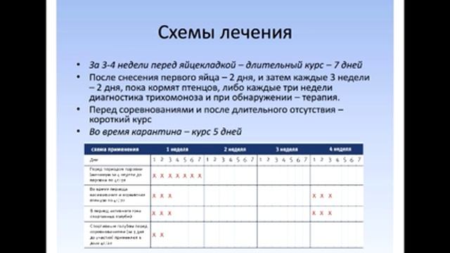 ОрниФарм Трихомоноз голубей. Практика смотреть онлайн