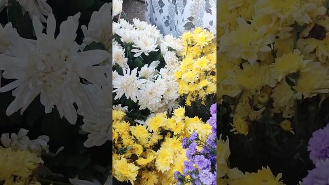 wow super nice смотреть онлайн