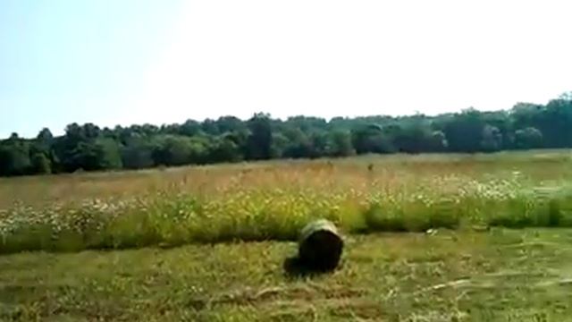 Прессование сена смотреть онлайн