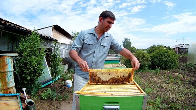 Майский мёд Южного Урала 2020г. Правда или вымысел? смотреть онлайн