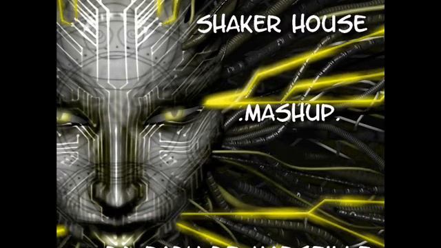 shaker house mashup dj pady de marseille смотреть онлайн