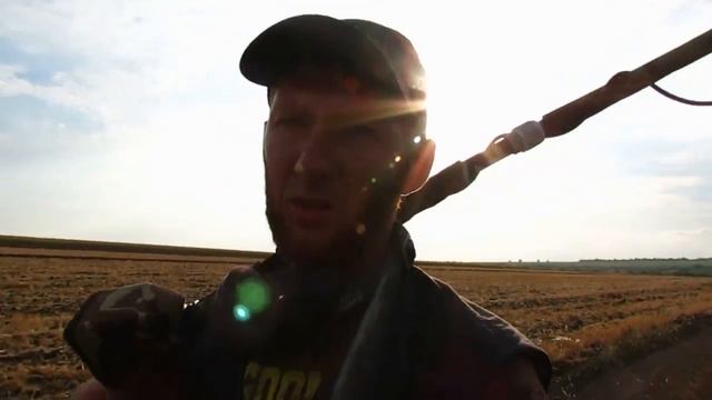 Что можно найти в гнезде. Нереальные находки. Жесть!!! смотреть онлайн