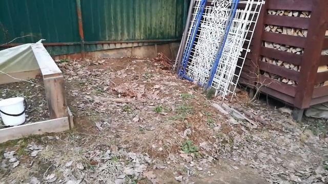 Дача. Ежик на участке смотреть онлайн