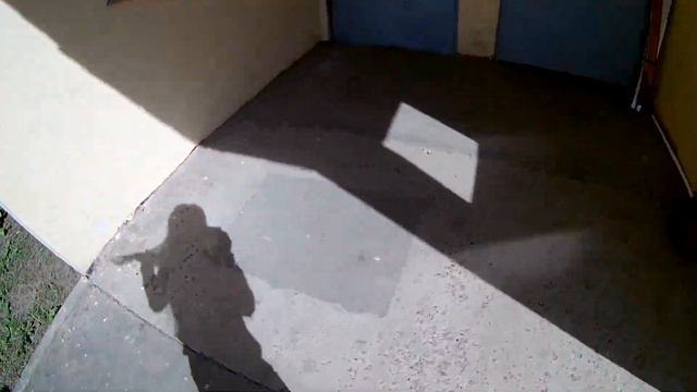 сажаем сосны смотреть онлайн