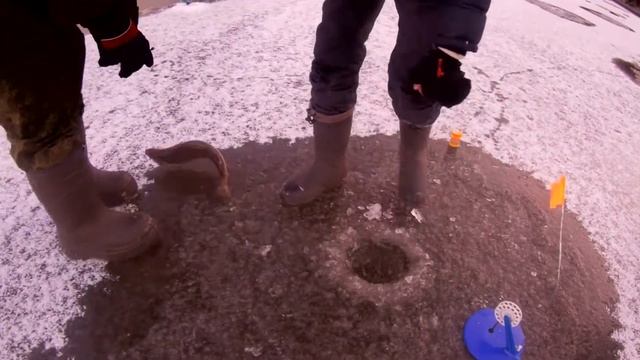 Ловля ФОРЕЛИ на платнике ЗИМОЙ ! Рыбное! Зимняя рыбалка! смотреть онлайн