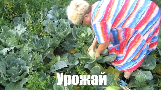 Первичка школы № 154 г. Челябинска 5 смотреть онлайн