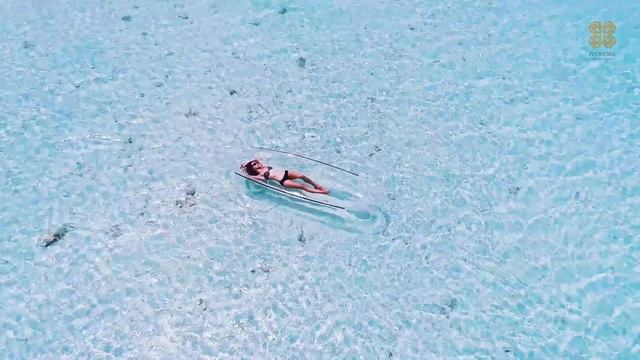 Excursions Plumeria Maldives смотреть онлайн