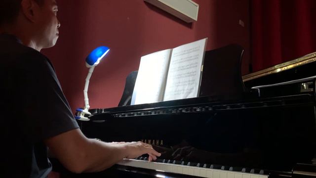 Abula’s Piano Practice: Pavel Karmanov -Past Perfect -1