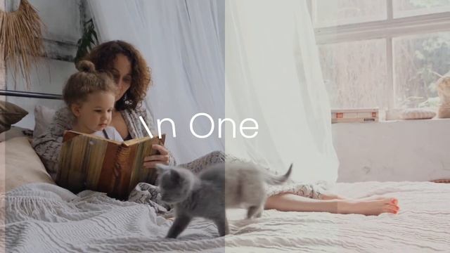 10 Boho Home Lightroom Mobile Presets Photoshop Filters LUTs Instagram VSCO Bright Indoor Warm