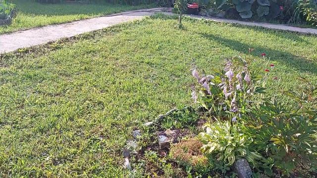 Домашние макаки. Лето 2022-1 смотреть онлайн