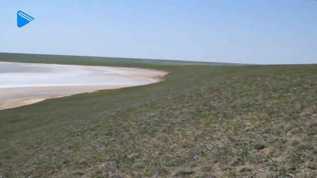 8 Класс - География - Безлесные зоны на юге России: степи, полупустыни пустыни смотреть онлайн