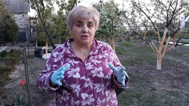 ВПЕРВЫЕ ВЫСАЖИВАЮ ЛИЛЕЙНИК. Мои цветы. Мой опыт. смотреть онлайн