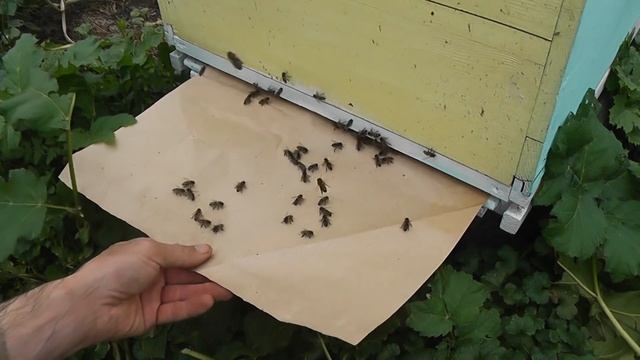 Строительные Ремесленники