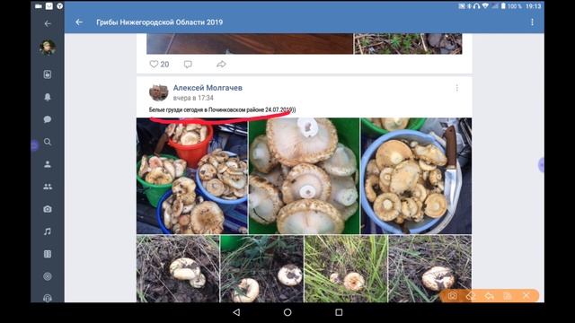 Как набрать грибов,даже совсем не зная грибных мест! смотреть онлайн