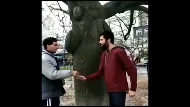 Flora y fauna Argentina temporada 2. смотреть онлайн