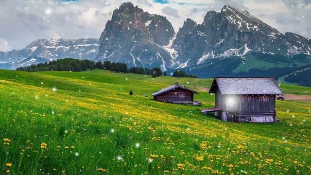 Одна из самых красивых и волшебных зимних мелодий… Падал снег #115 смотреть онлайн