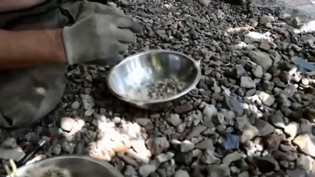 Расторопша, лекарственное растение. Расторопша или остро - пёстро! смотреть онлайн