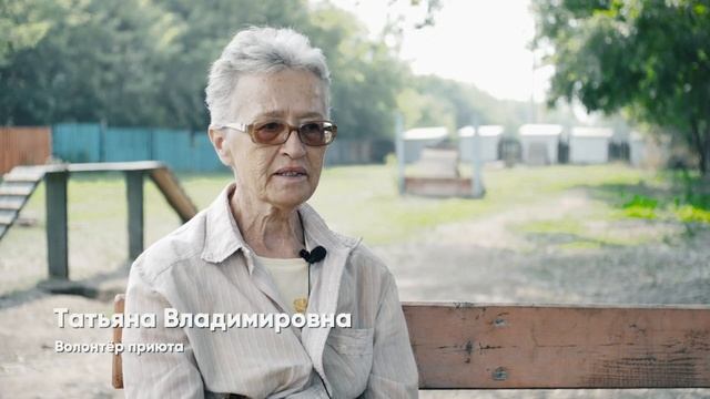 ЛАСКА - приют для животных смотреть онлайн