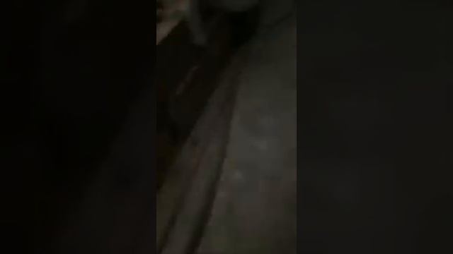 Maquina Powermix 220 vendida en Cordoba смотреть онлайн