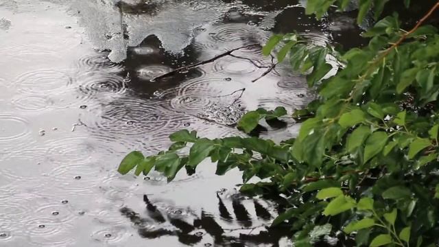 Я ДОВЕРЯЮ ВСЕЛЕННОЙ. Аффирмации от страха. Трансформация внутренних страхов и тревог. смотреть онлайн