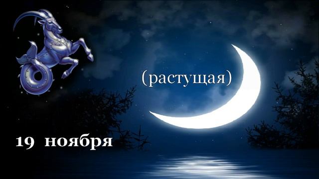 Лунный прогноз на 16 22 ноября 2020 смотреть онлайн