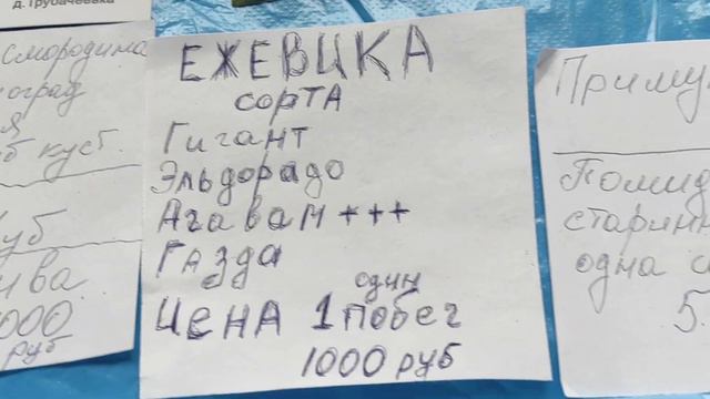 Огород без забот без хлопот 28 04 2021 смотреть онлайн